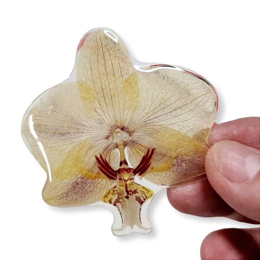 323808441_3438618116413877_622969489892533363_n