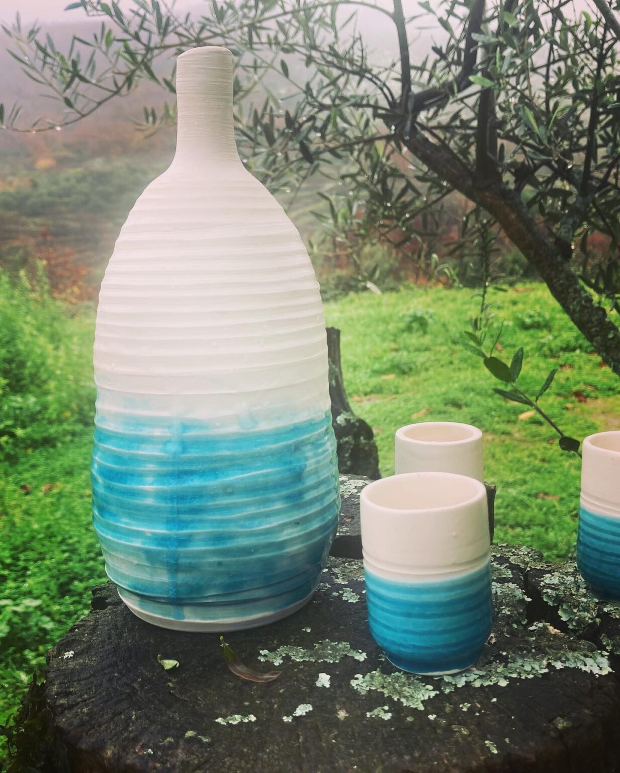 480590248_1137618865041316_3195391279986852403_n