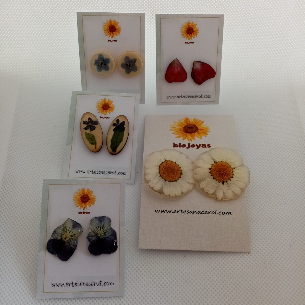 IMG_20230517_100347-1200x1200