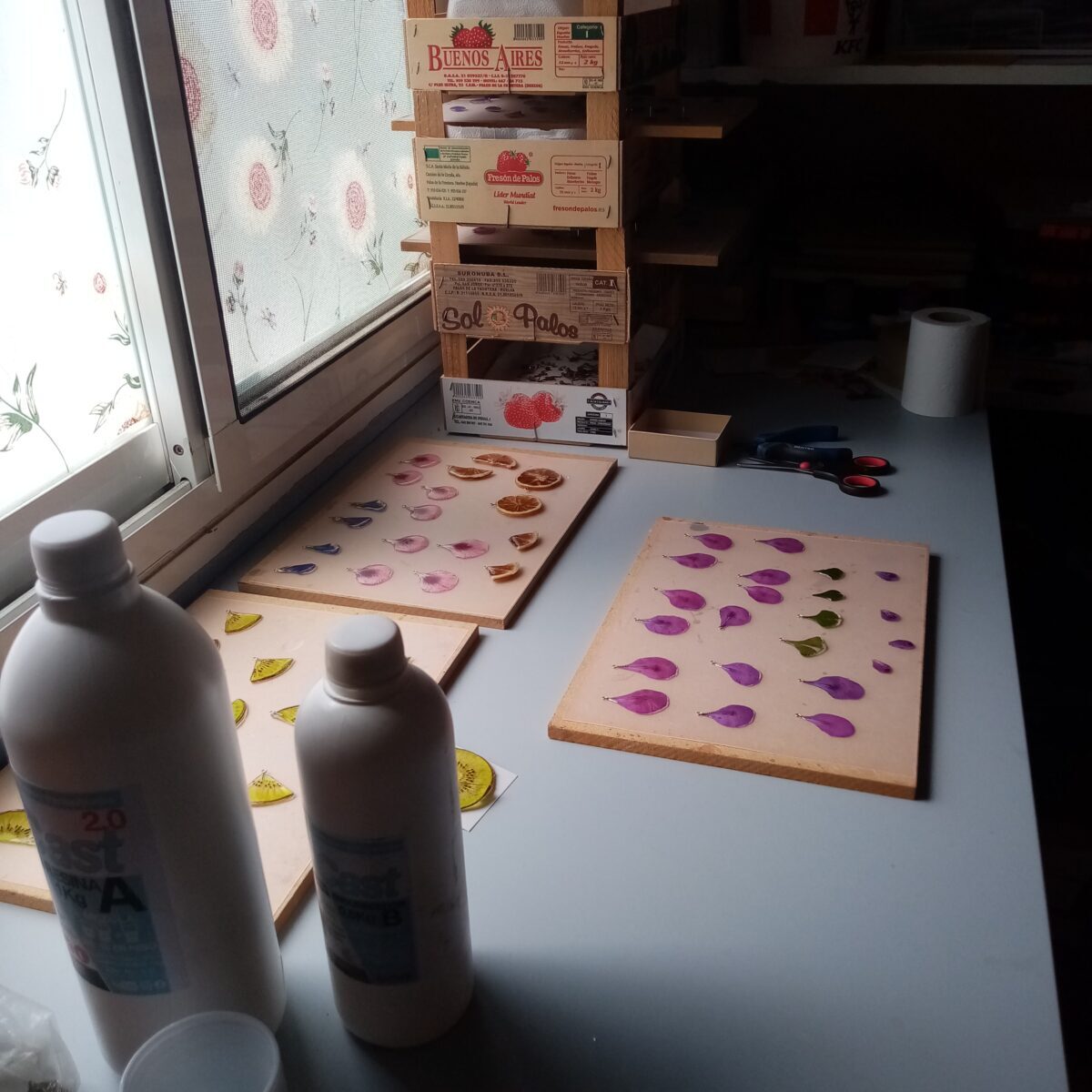 IMG_20230615_125632-1200x1200